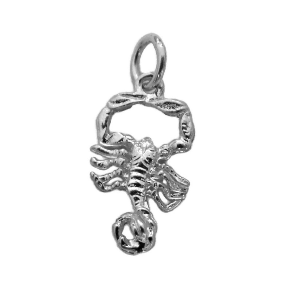 Scorpio Horoscope Zodiac Sign Unisex Pendant